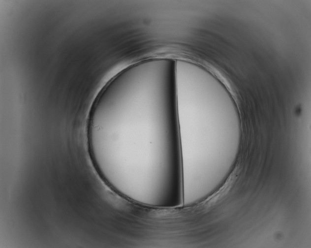 X0000103431434200809121026