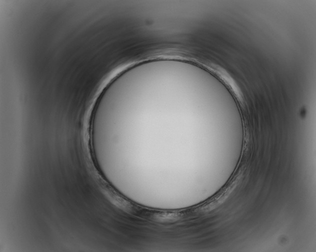 X0000103431435200809121026