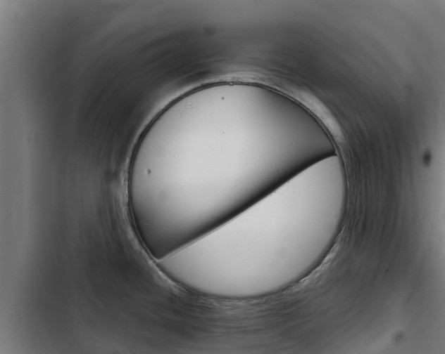 X0000103431436200809121026