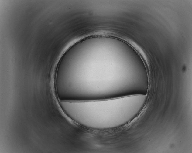 X0000103431437200809121026