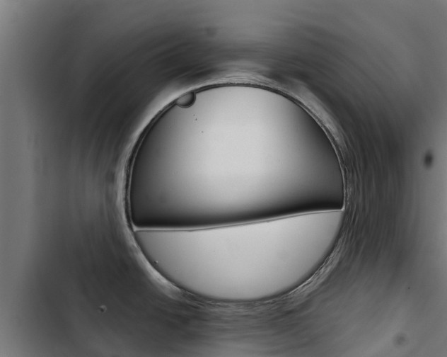 X0000103431438200809121026