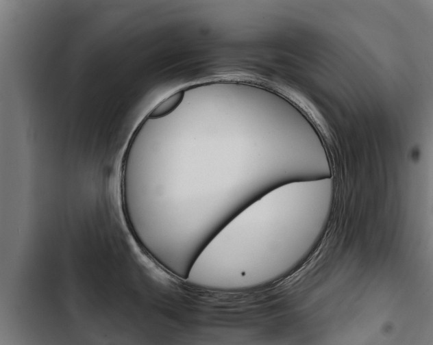 X0000103431439200809121026