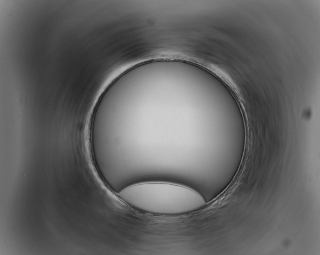 X0000103431440200809121026