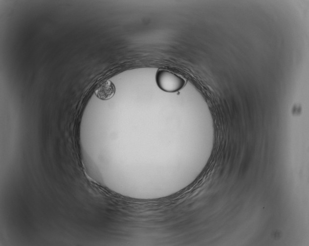 X0000103431441200809121025
