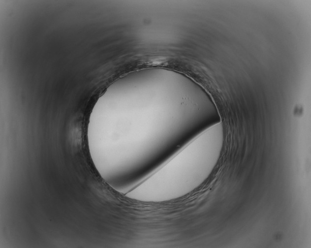 X0000103431442200809121025