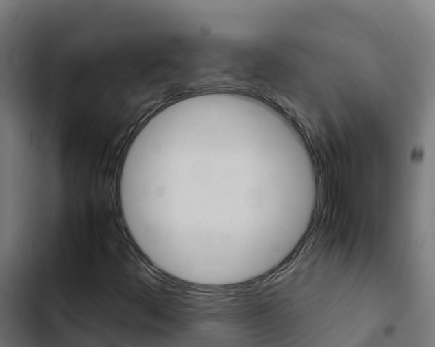X0000103431444200809121025