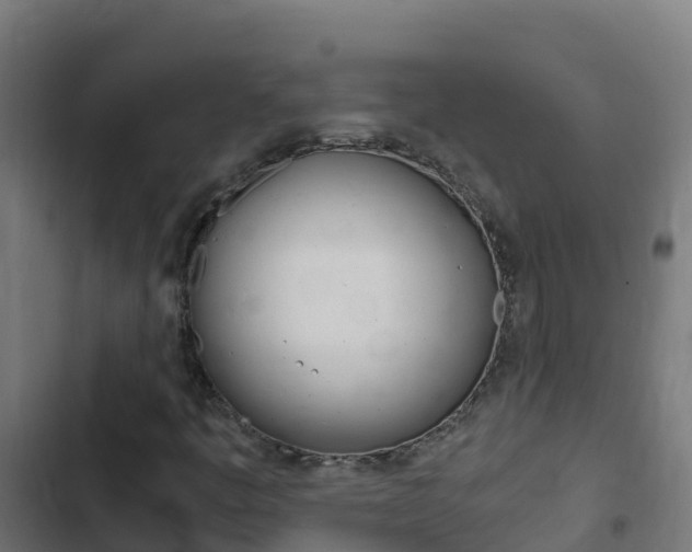 X0000103431445200809121025