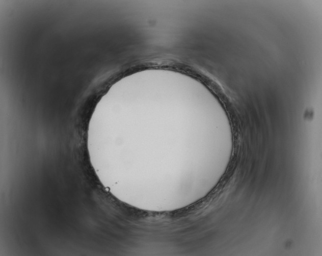X0000103431447200809121025