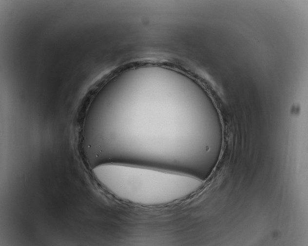 X0000103431448200809121025