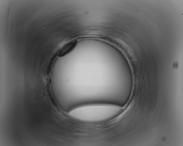 X0000103431449200809121025