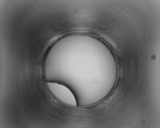 X0000103431451200809121025