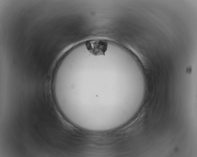 X0000103431452200809121025