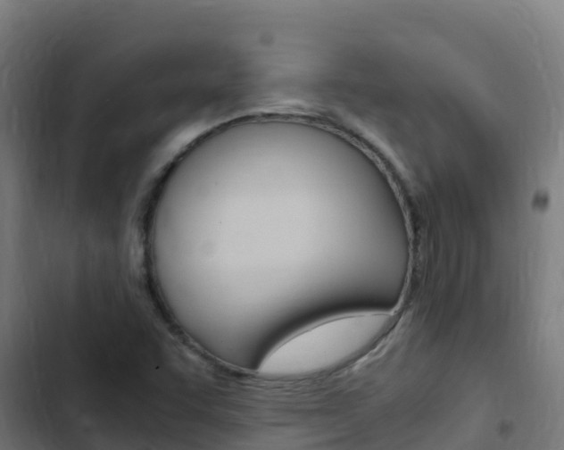 X0000103431455200809121025