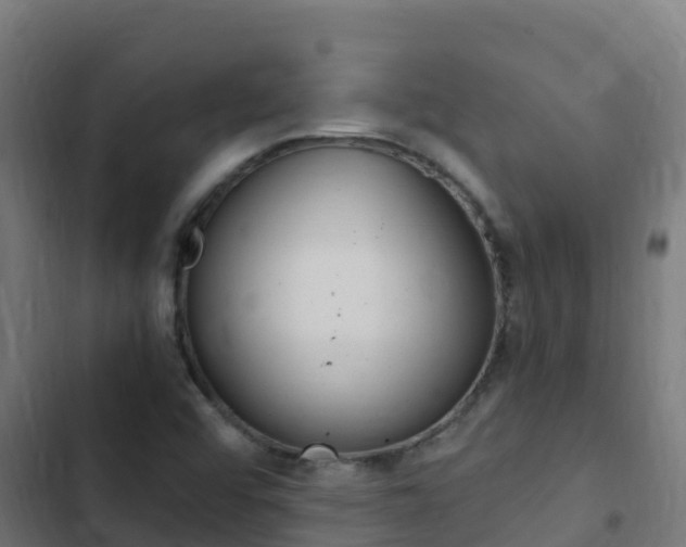 X0000103431456200809121025