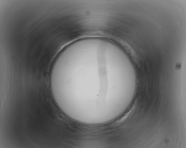X0000103431457200809121025
