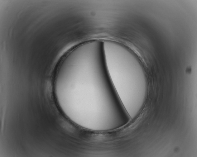 X0000103431458200809121025
