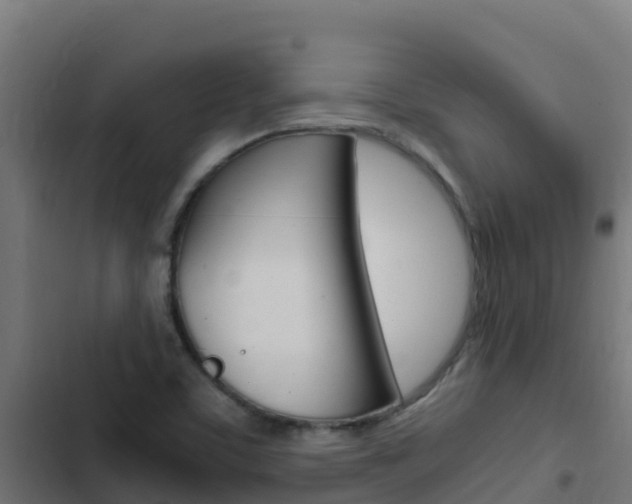 X0000103431459200809121025