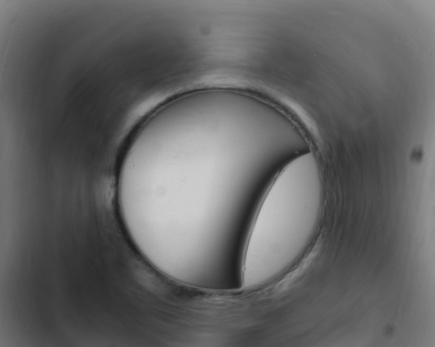 X0000103431461200809121025