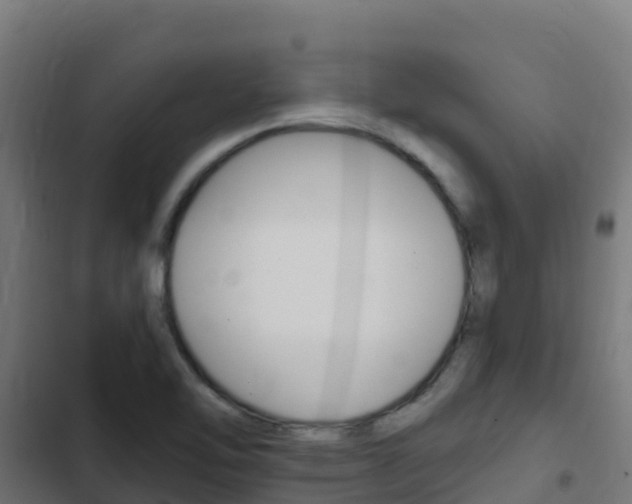 X0000103431462200809121025