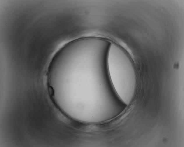 X0000103431463200809121025