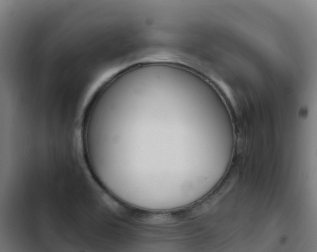 X0000103431464200809121025