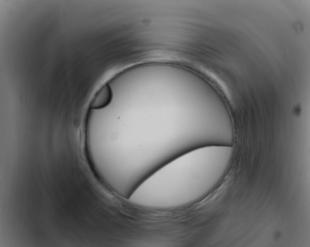 X0000103431467200809121025
