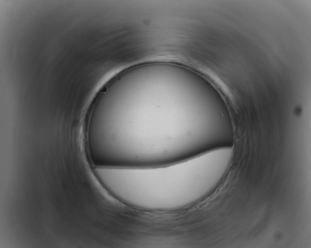 X0000103431468200809121025