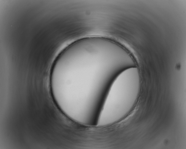X0000103431469200809121025