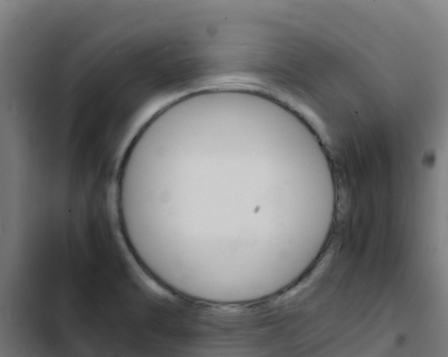 X0000103431470200809121025