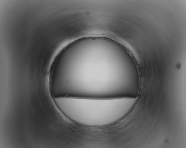 X0000103431472200809121025