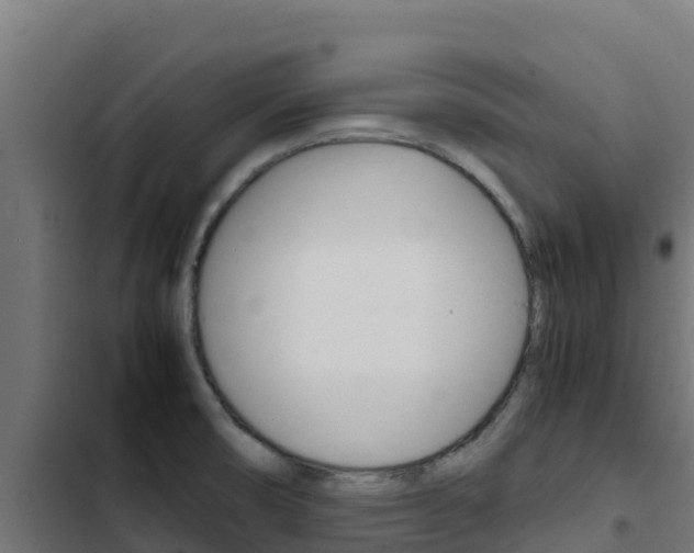 X0000103431474200809121025