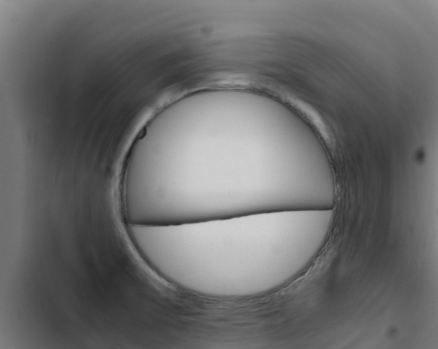 X0000103431475200809121025