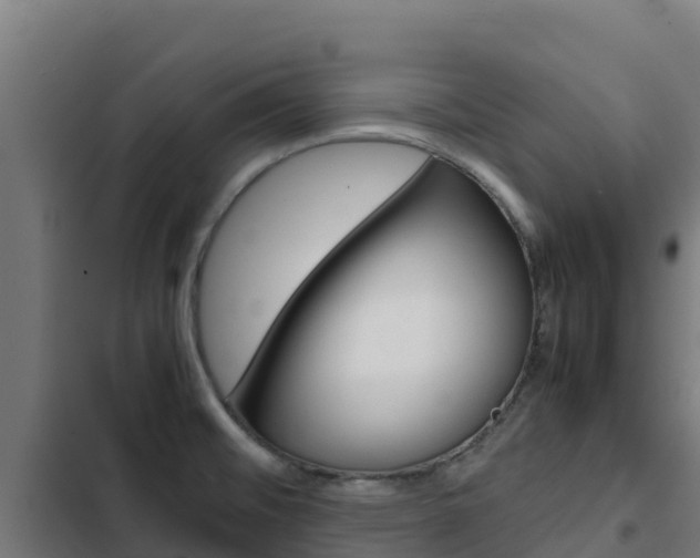 X0000103431476200809121025