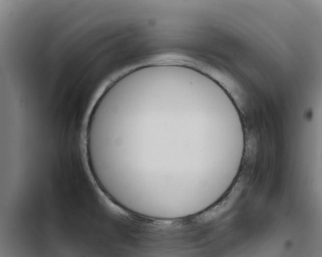 X0000103431478200809121025