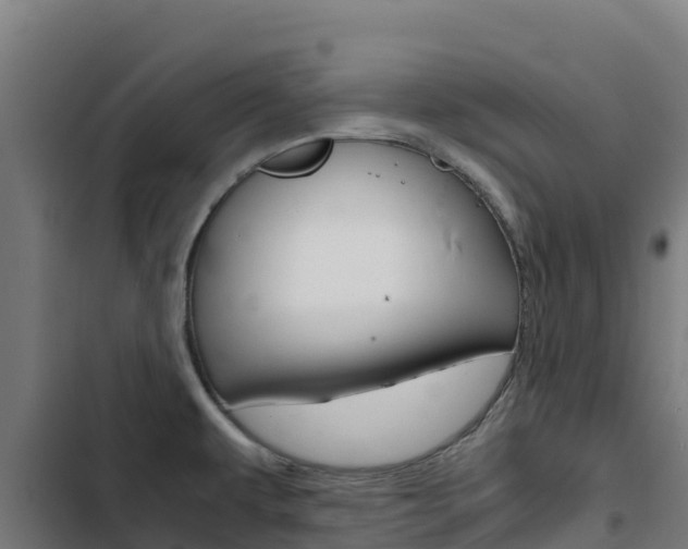 X0000103431479200809121025