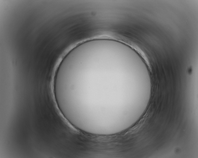 X0000103431480200809121025