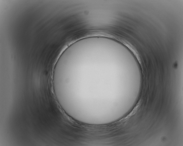 X0000103431481200809121025