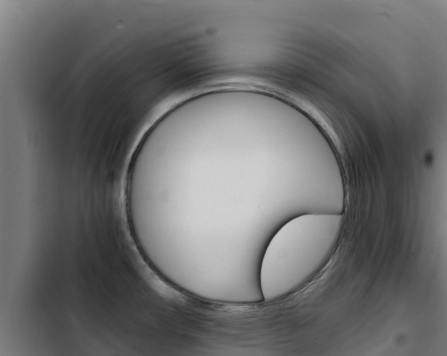 X0000103431482200809121025