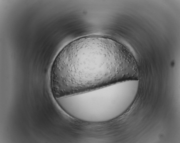 X0000103431483200809121025