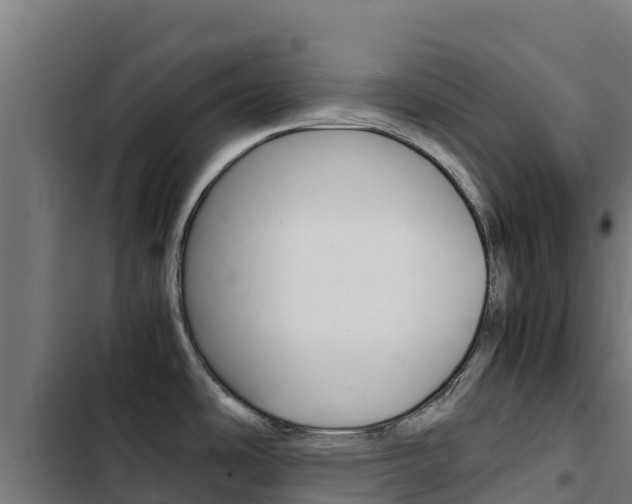 X0000103431486200809121024