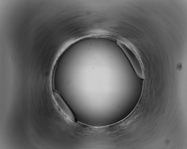 X0000103431488200809121024