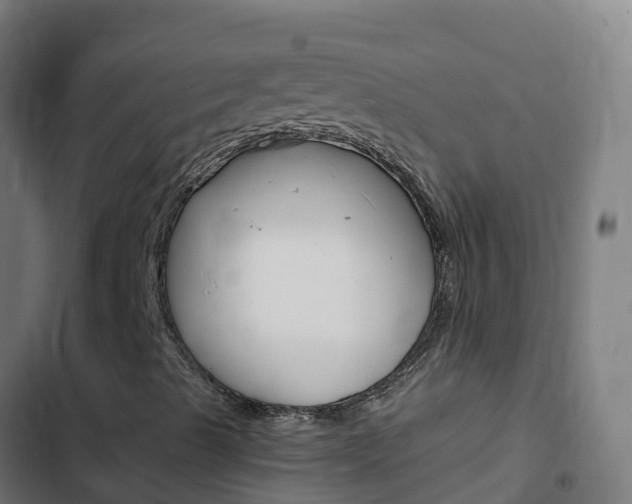 X0000103431489200809121024
