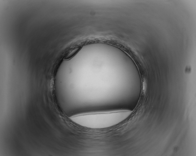 X0000103431492200809121024