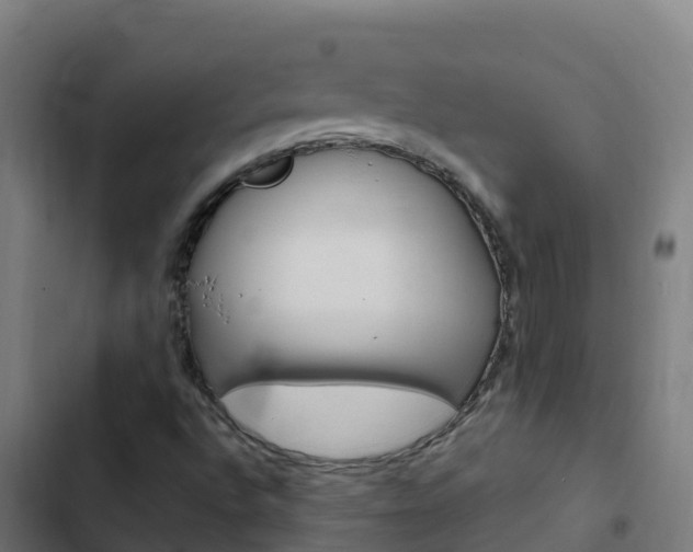 X0000103431496200809121024