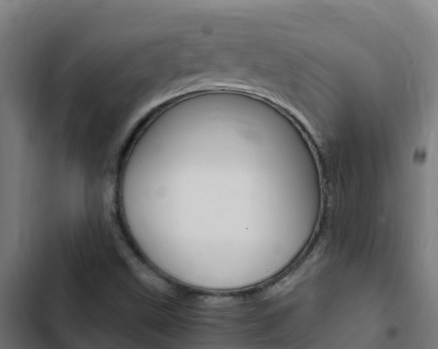 X0000103431499200809121024