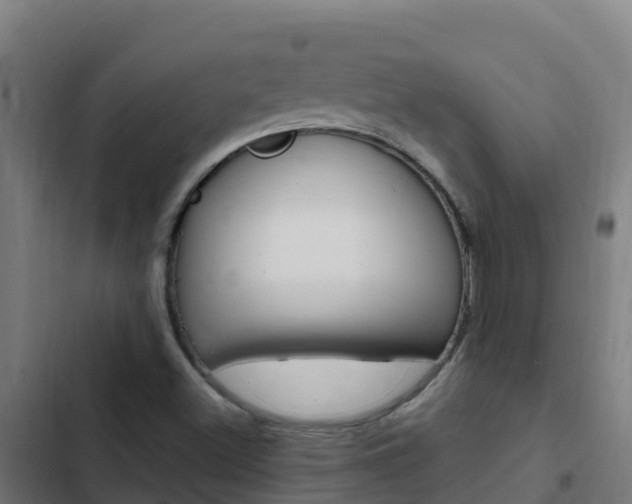 X0000103431500200809121024