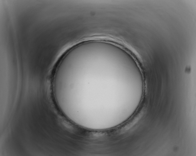 X0000103431501200809121024