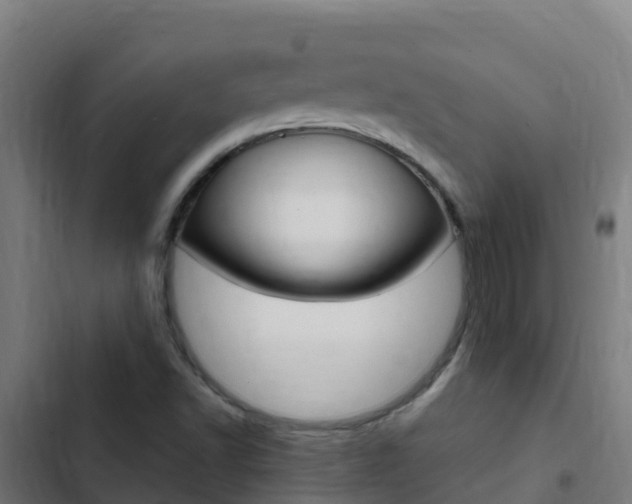 X0000103431502200809121024