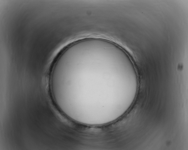 X0000103431503200809121024