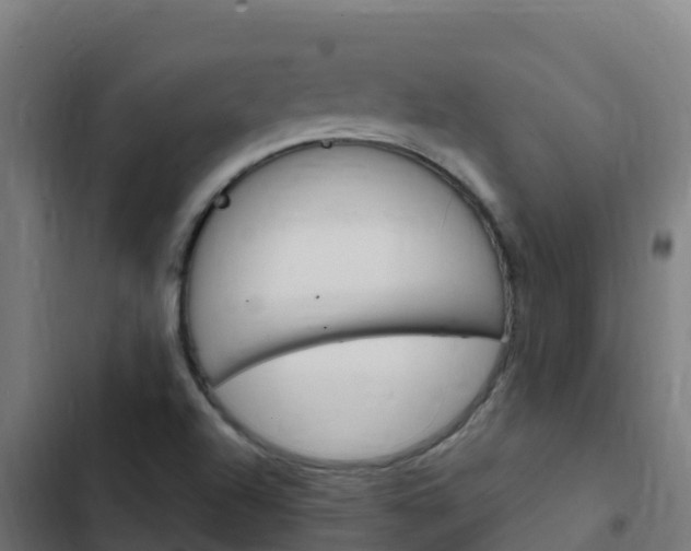 X0000103431504200809121024